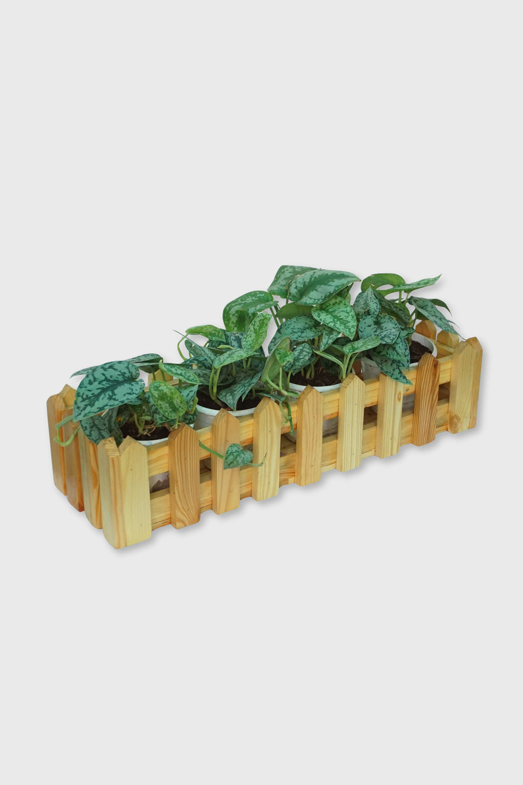 Handmade wooden picket fence planter box – Exoticura decor