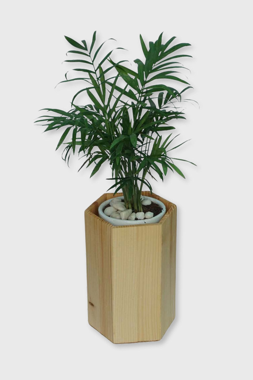 Handcrafted pinewood geometric planter box – Exoticura India