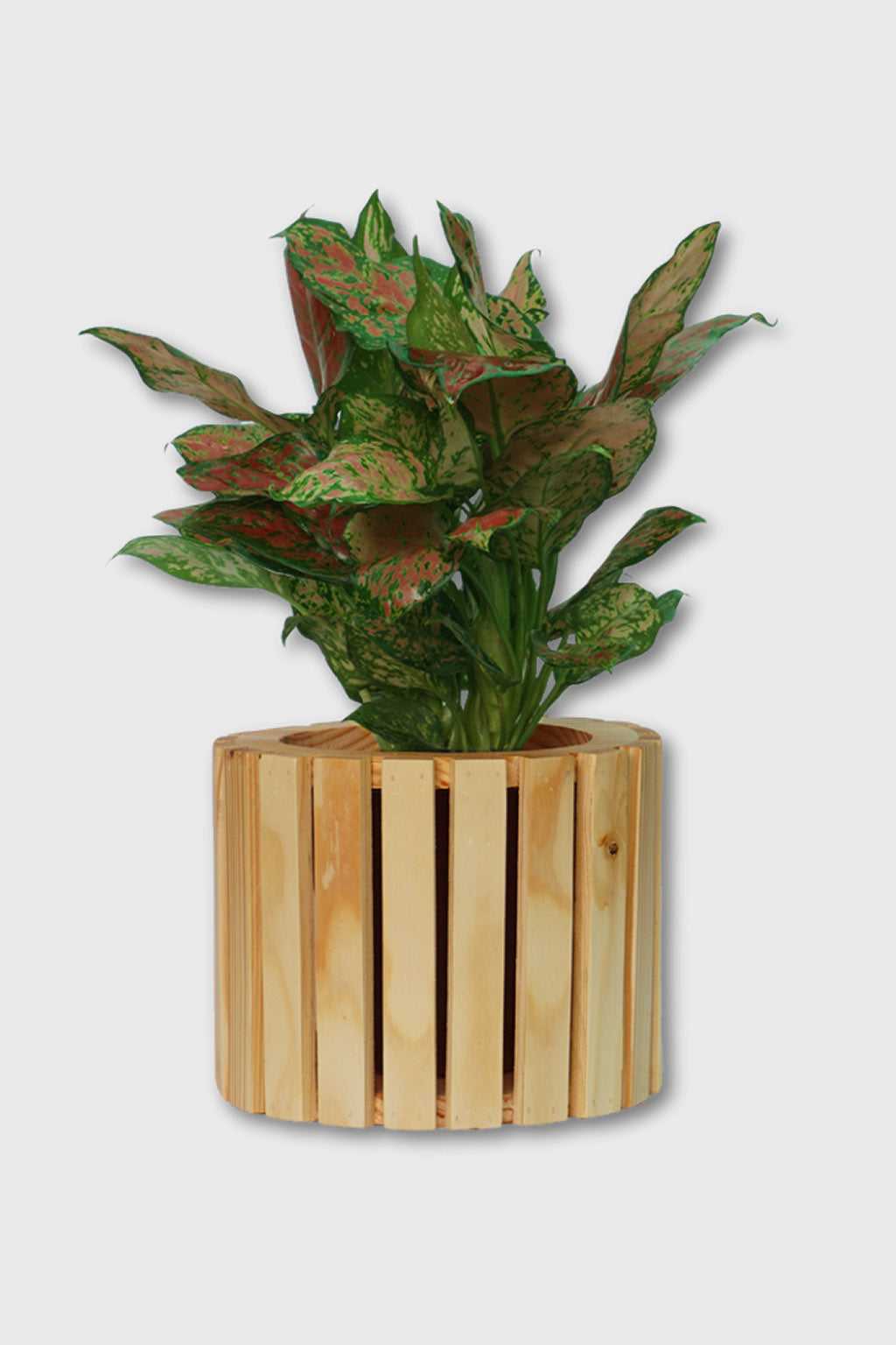 Handcrafted round wooden planter with slatted design – Exoticura India