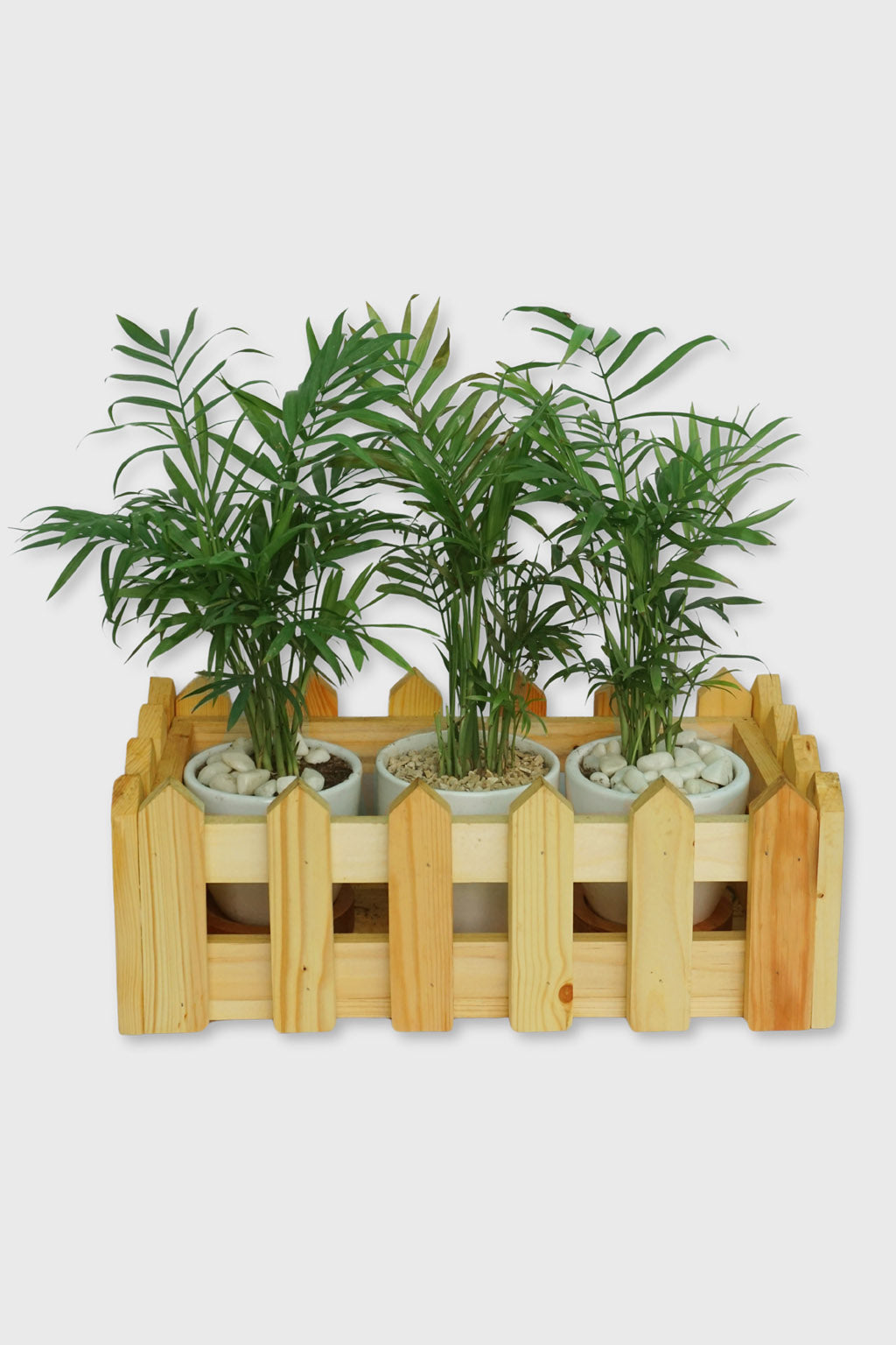 Handcrafted wooden planter box rectangle design – Exoticura India