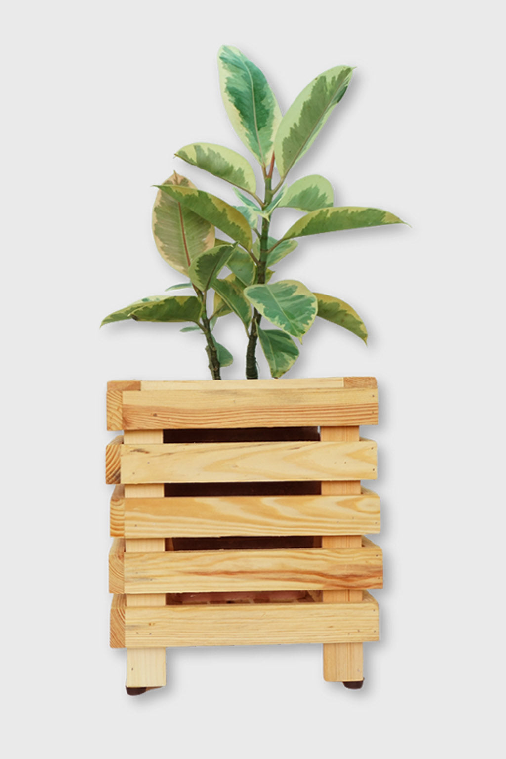 Durable Eco-friendly wooden planter for indoor plants – Exoticura