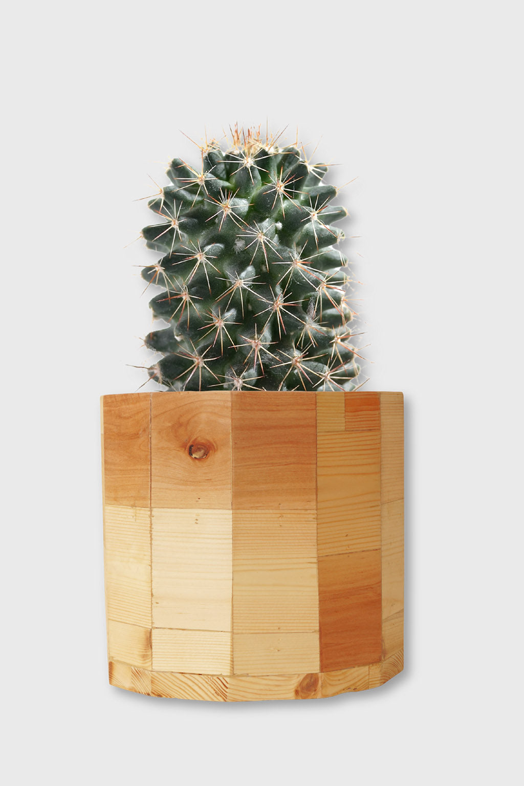 Exoticura artisan-made round planter for indoor plants