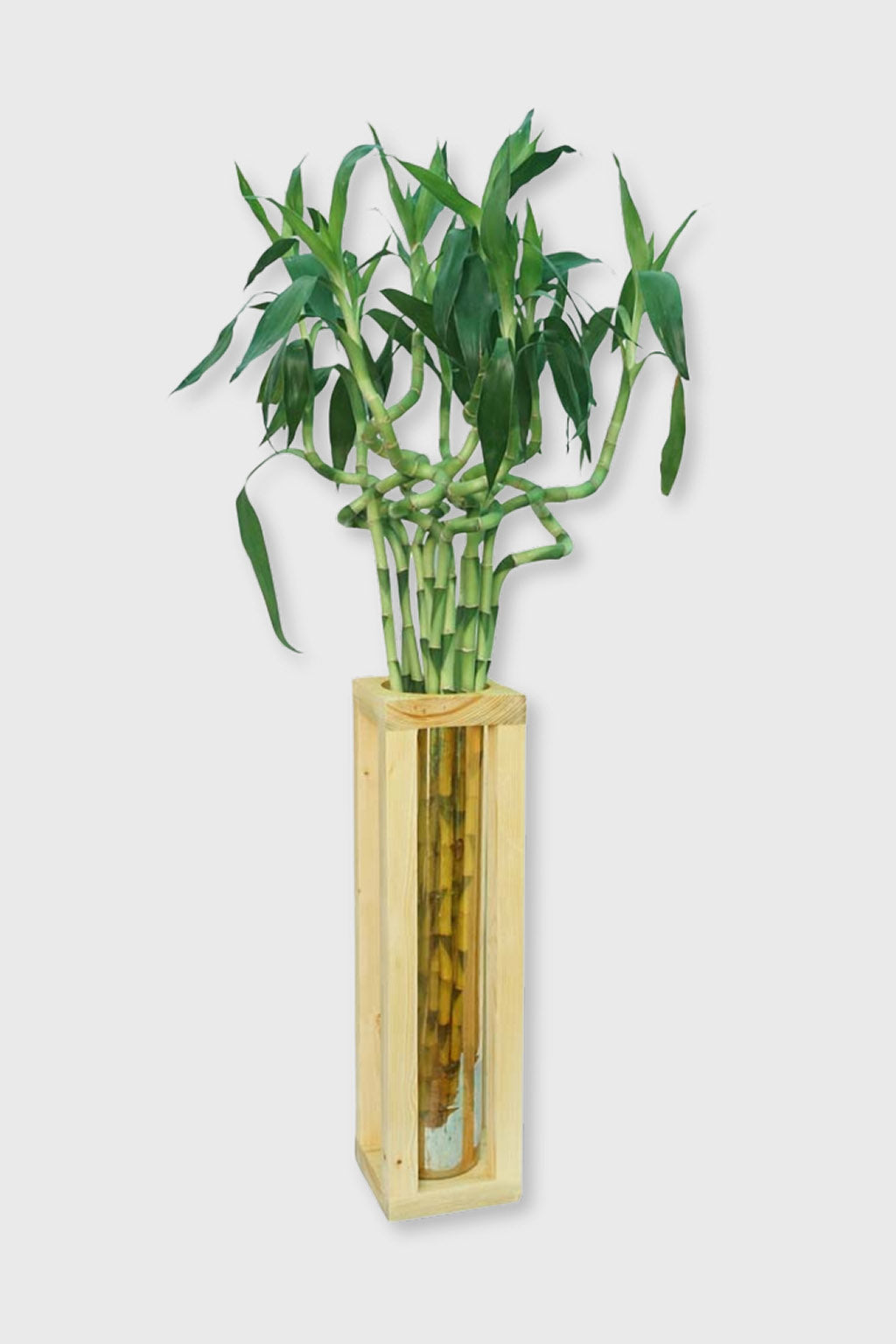 Handcrafted wooden bamboo vase for home interiors – Exoticura