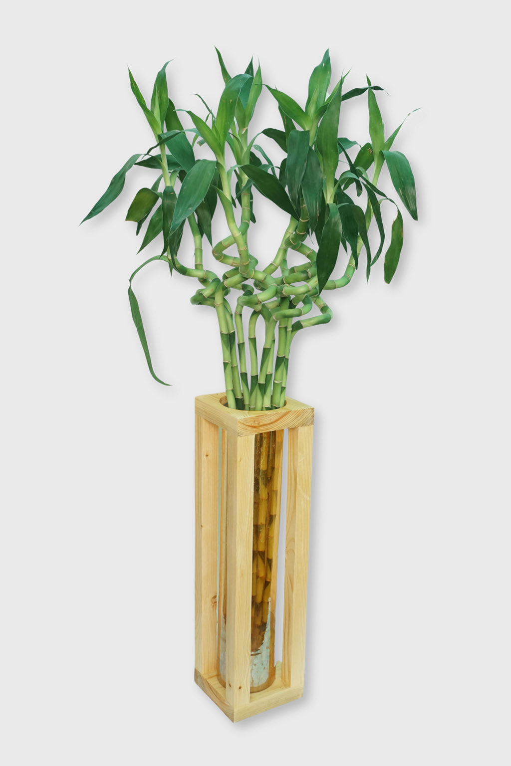 Exoticura modern bamboo vase with open-frame design