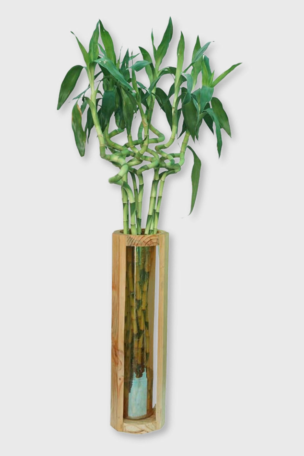 Exoticura elegant wooden vase for modern interiors