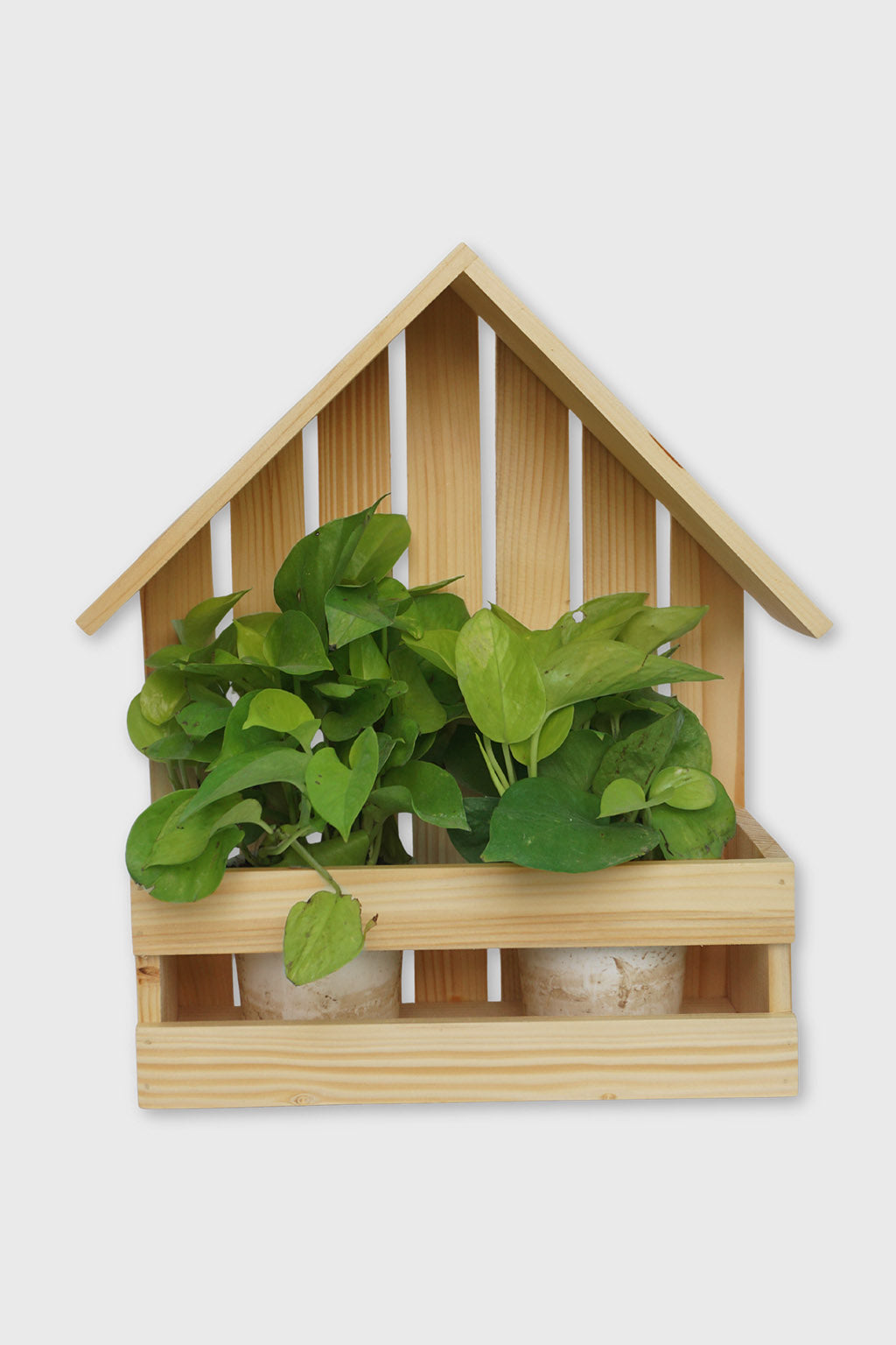 Handcrafted wooden house planter for indoor plants – Exoticura India